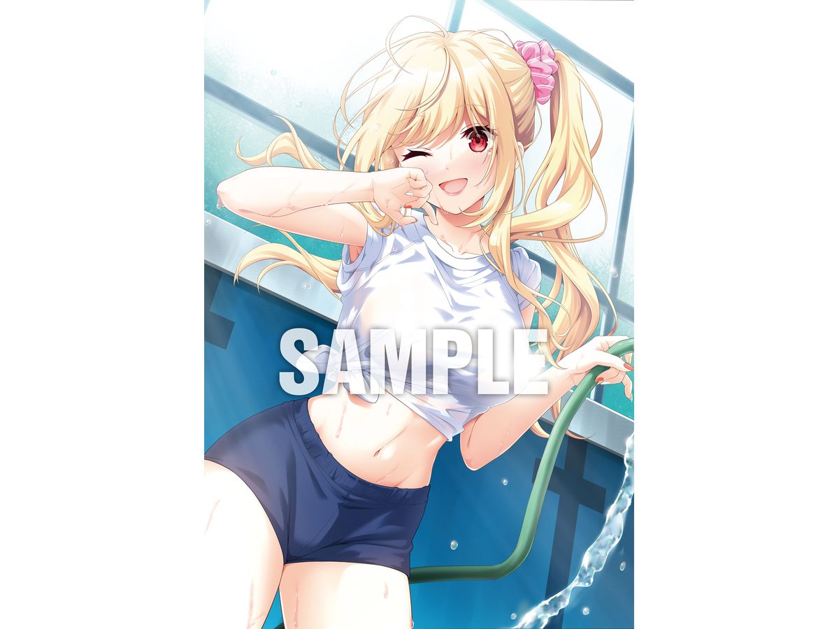 HOOKSOFT B2 Tapestry Secret Love (Kari) Akatsuka Haru Newly Drawn B2 Tapestry