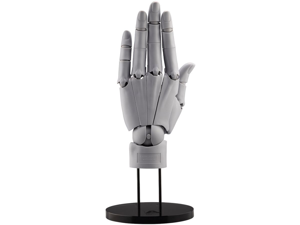 ARTIST SUPPORT ITEM Hand Model / L -GRAY-