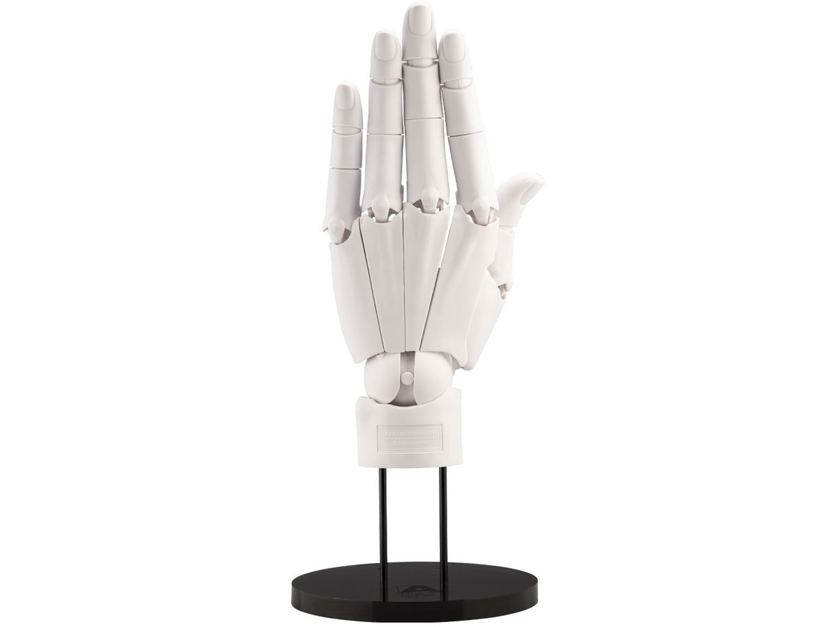 ARTIST SUPPORT ITEM Hand Model / L -WHITE-