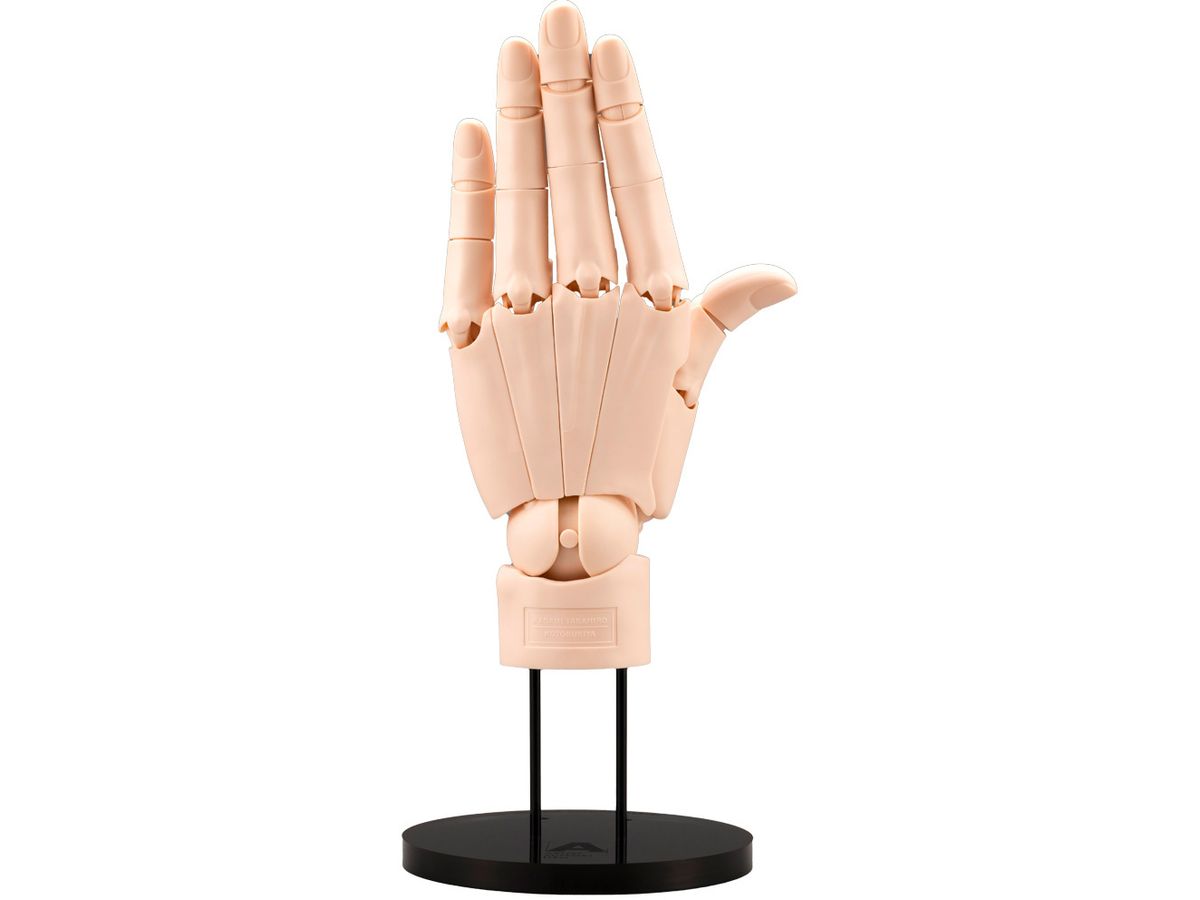 ARTIST SUPPORT ITEM Hand Model / L -PALE ORANGE-