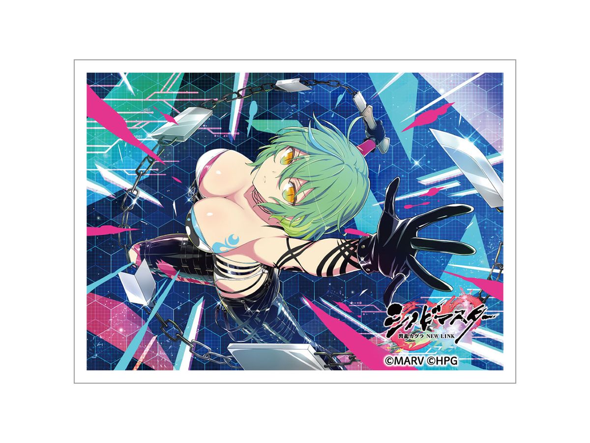 Shinobi Master Senran Kagura: NEW LINK Sleeve (Hikage/New Milk Festival 2)